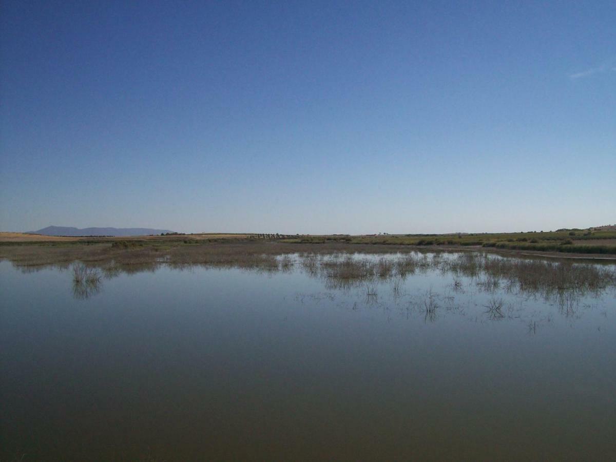 El Labriego, Casa Rural Fuente el Fresno Dış mekan fotoğraf